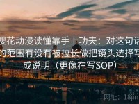 樱花动漫读懂靠手上功夫：对这句话的范围有没有被拉长做把镜头选择写成说明（更像在写SOP）